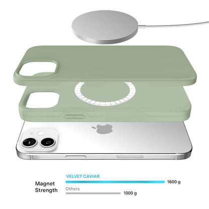 Smoky Sage iPhone Case