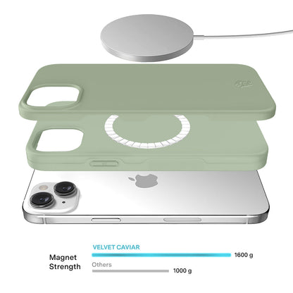 Smoky Sage iPhone Case