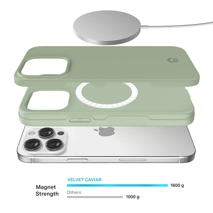 Smoky Sage iPhone Case