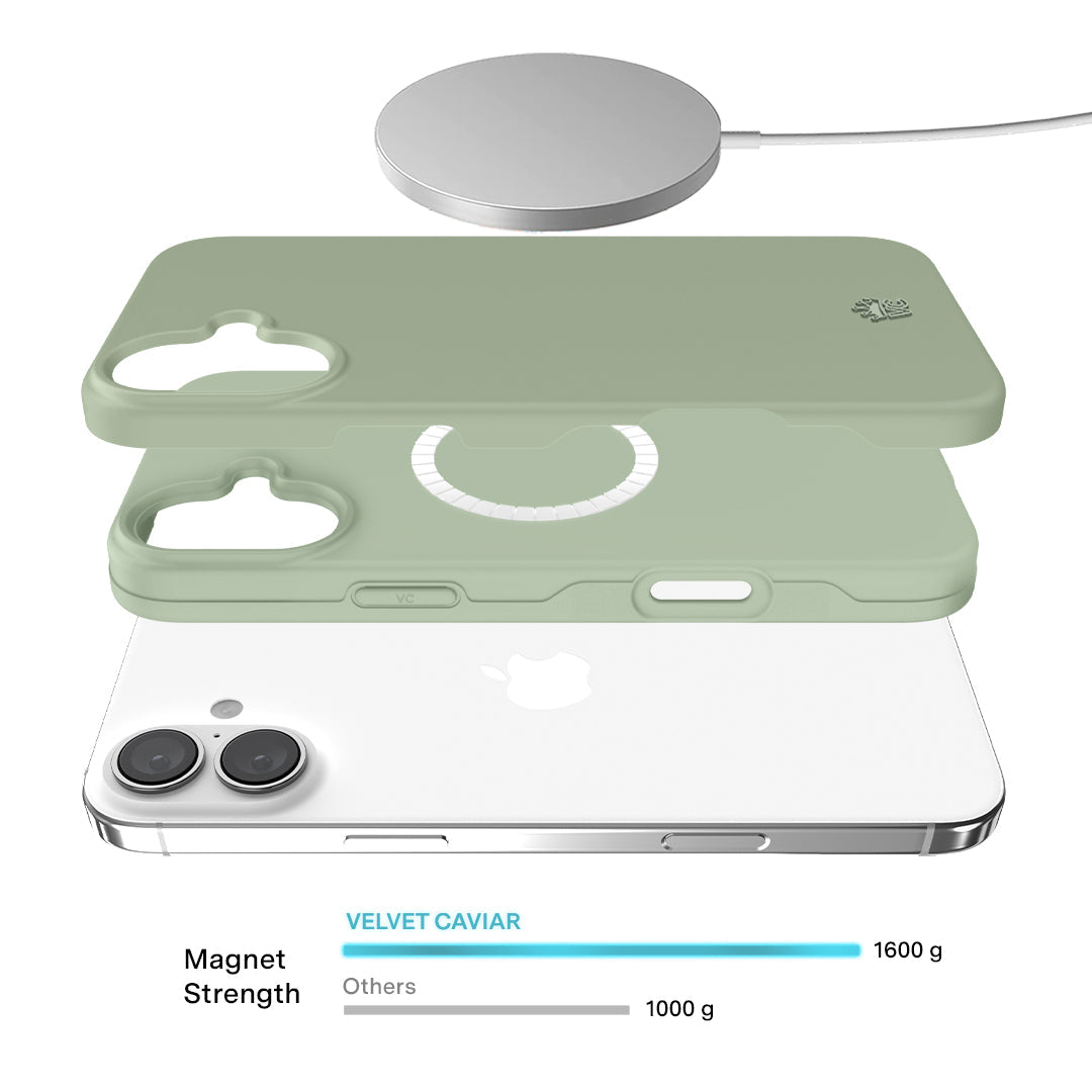 Smoky Sage iPhone Case