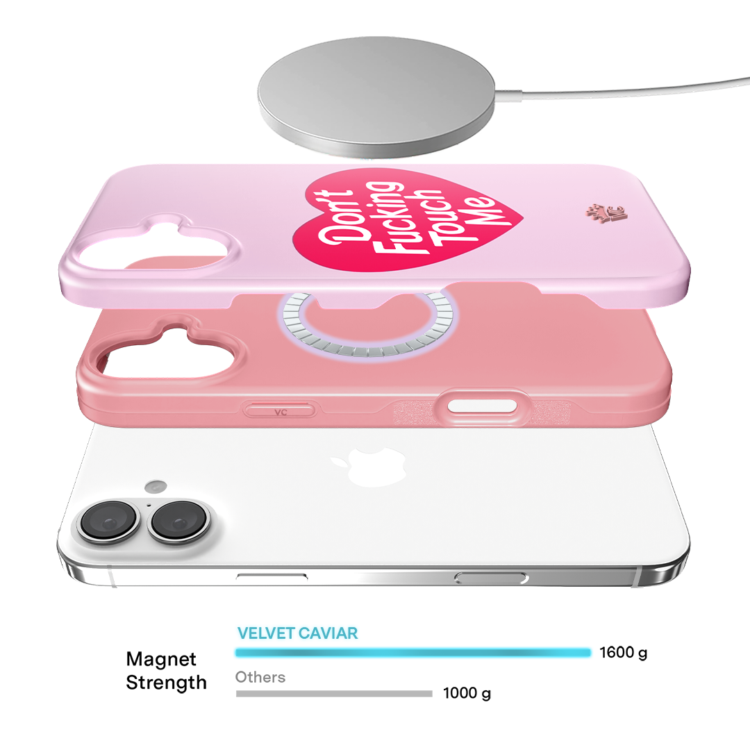 Don't F Touch Me iPhone Case