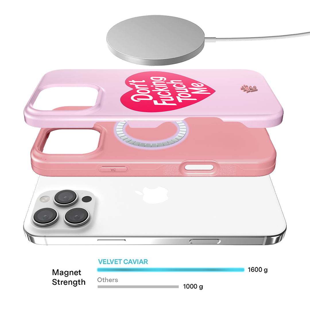 Don't F Touch Me iPhone Case