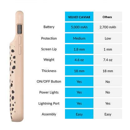 Spotted Cheetah iPhone Charging Case
