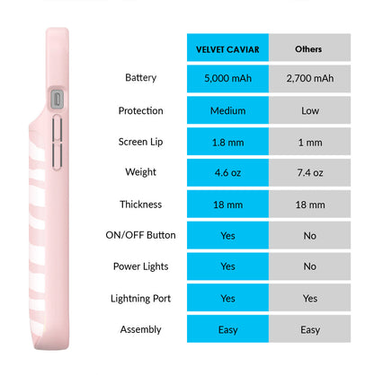 Pink Zebra iPhone Charging Case
